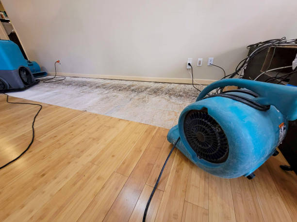 Professional Burst Pipe Water Damage technician working in Cedar Bluffs, NE